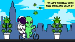 New York and Delta 8