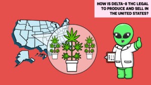 Delta 8 THC Legal To Produce in United States