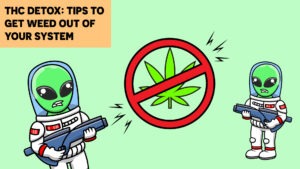 THC Detox