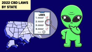 2022 CBD Laws by State
