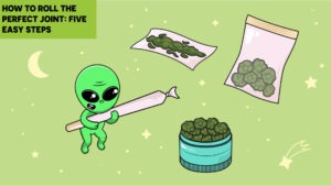 How to Roll the Perfect Joint?