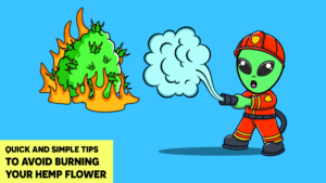 Quick and Simple Tips to Avoid Burning Your Hemp Flower
