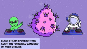 ELYXR Strain Spotlight_ OG Kush