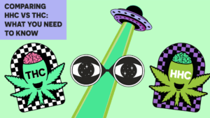 HHC vs THC What You Should Know