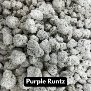 Buy 40% THC-A Snow Caps - Purple Runtz