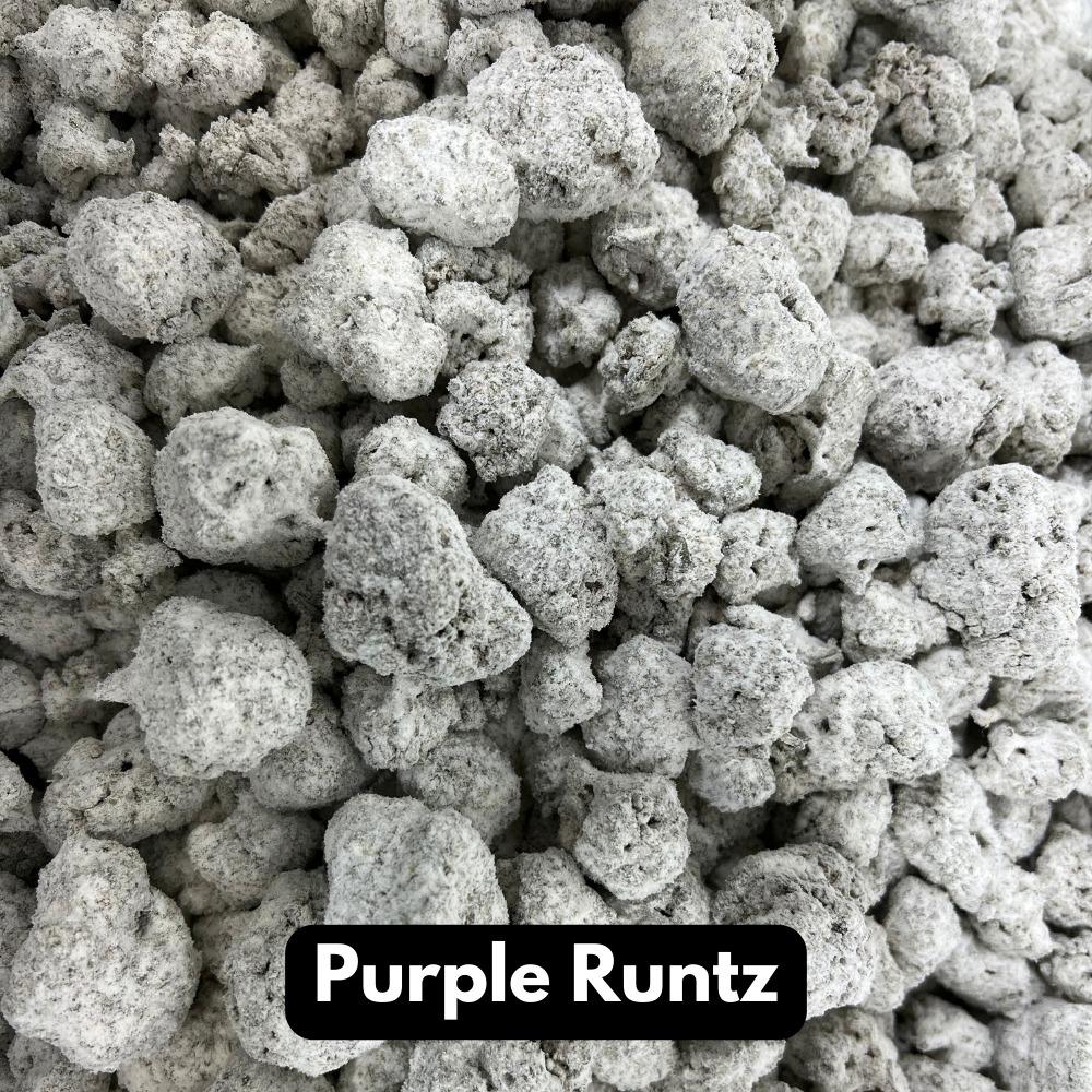 Buy 40% THC-A Snow Caps - Purple Runtz