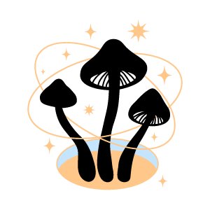 Collection: Mushroom Products