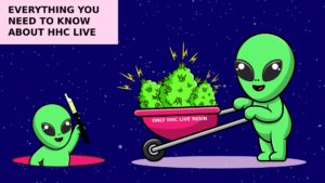 Everything You Need to Know about HHC Live Resin! - Only HHC Live Resin