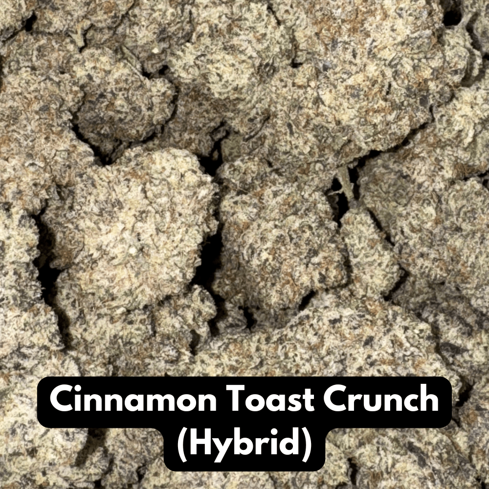 Natural THC-A Flower - Cinnamon Toast Crunch (Hybrid)