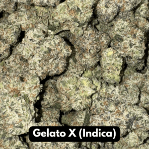 Natural THC-A Flower - Gelato X (Indica)