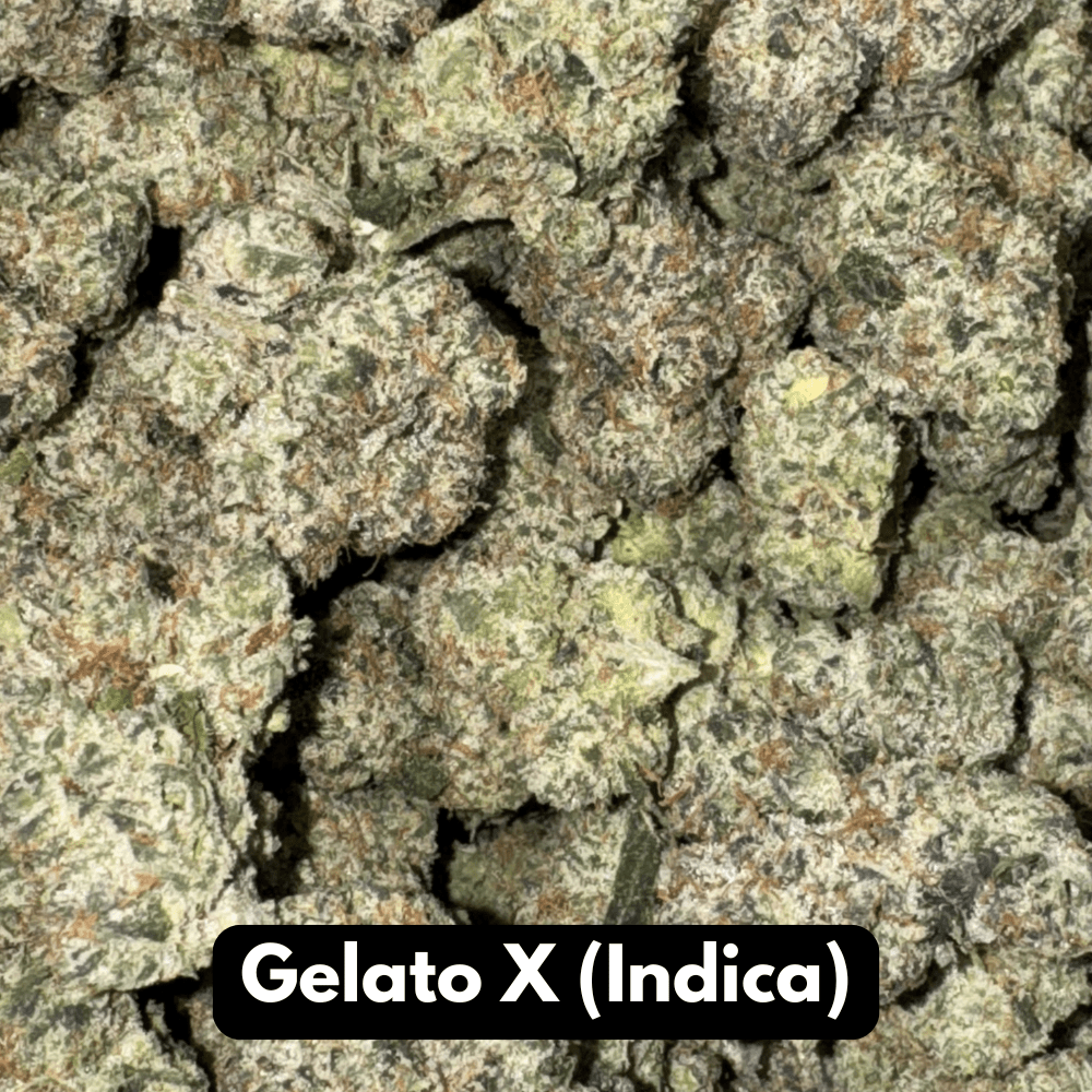 Natural THC-A Flower - Gelato X (Indica)