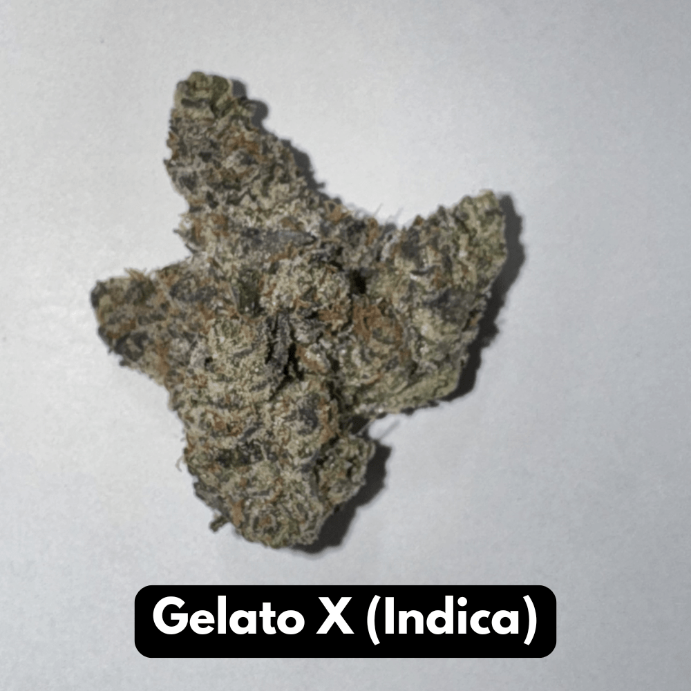 Natural THC-A Flower - Gelato X (Indica)