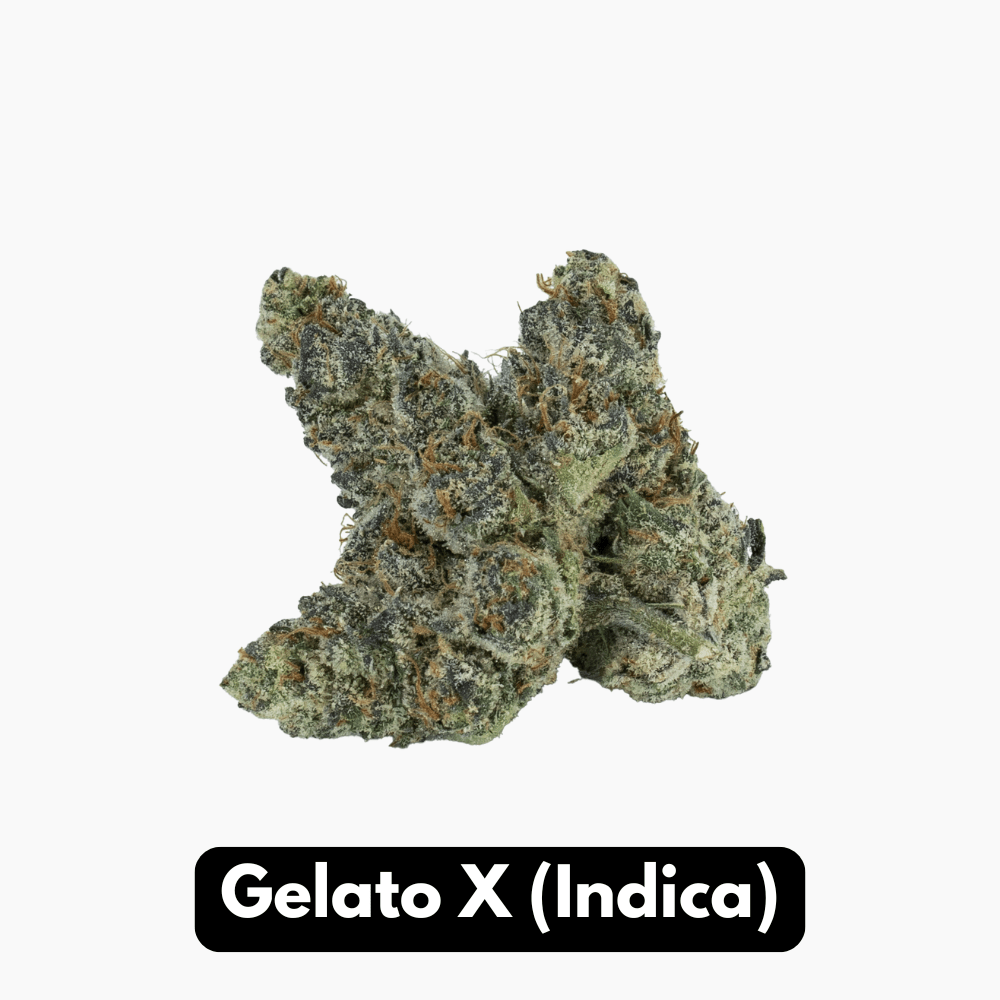 Natural THC-A Flower (Indica ~ Gelato X)