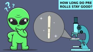 How Long Do Pre Rolls Stay Good​ to Use and Get High