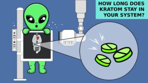 How long does kratom stay in your body
