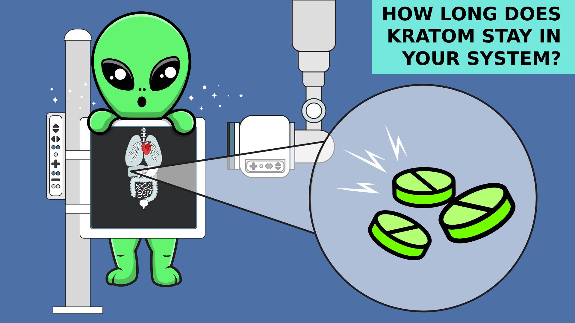 How long does kratom stay in your body