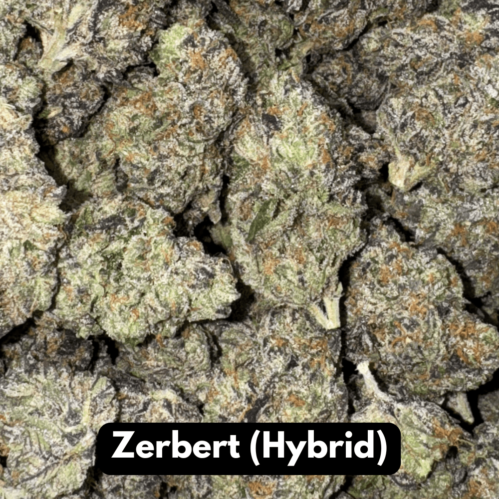 Natural THC-A Flower (Hybrid ~ Pinnacle Runtz)