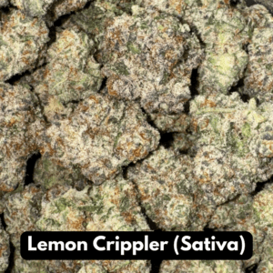 Natural THC-A Flower (Sativa ~ Lemon Crippler)