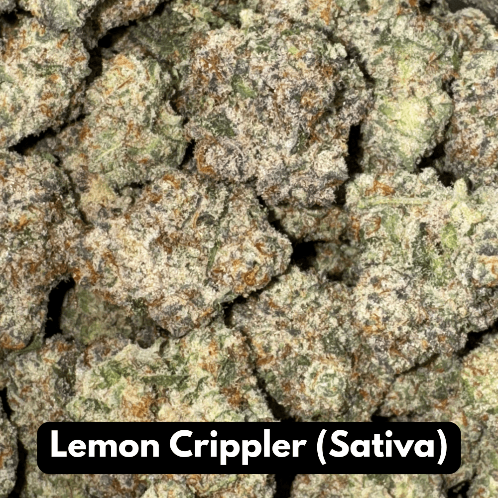 Natural THC-A Flower (Sativa ~ Lemon Crippler)