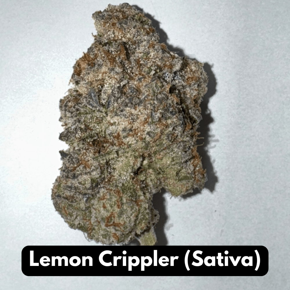Natural THC-A Flower (Sativa ~ Lemon Crippler)