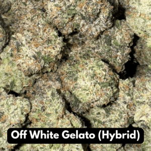Natural THC-A Flower (Hybrid ~ Off White Gelato)