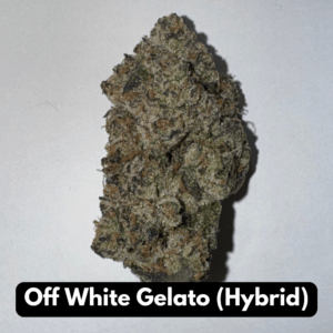 Natural THC-A Flower (Hybrid ~ Off White Gelato)