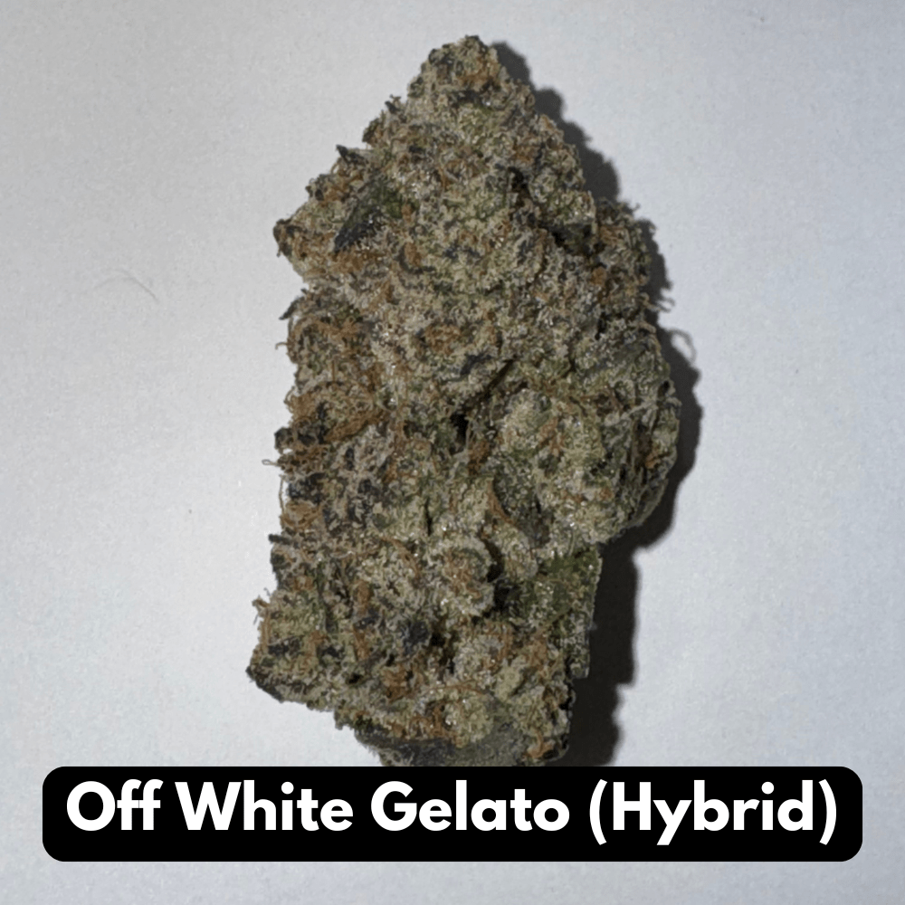 Natural THC-A Flower (Hybrid ~ Off White Gelato)
