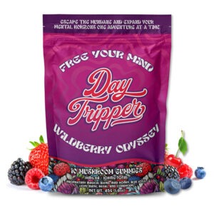 Day Tripper Mushroom Gummies - Wildberry Odyssey