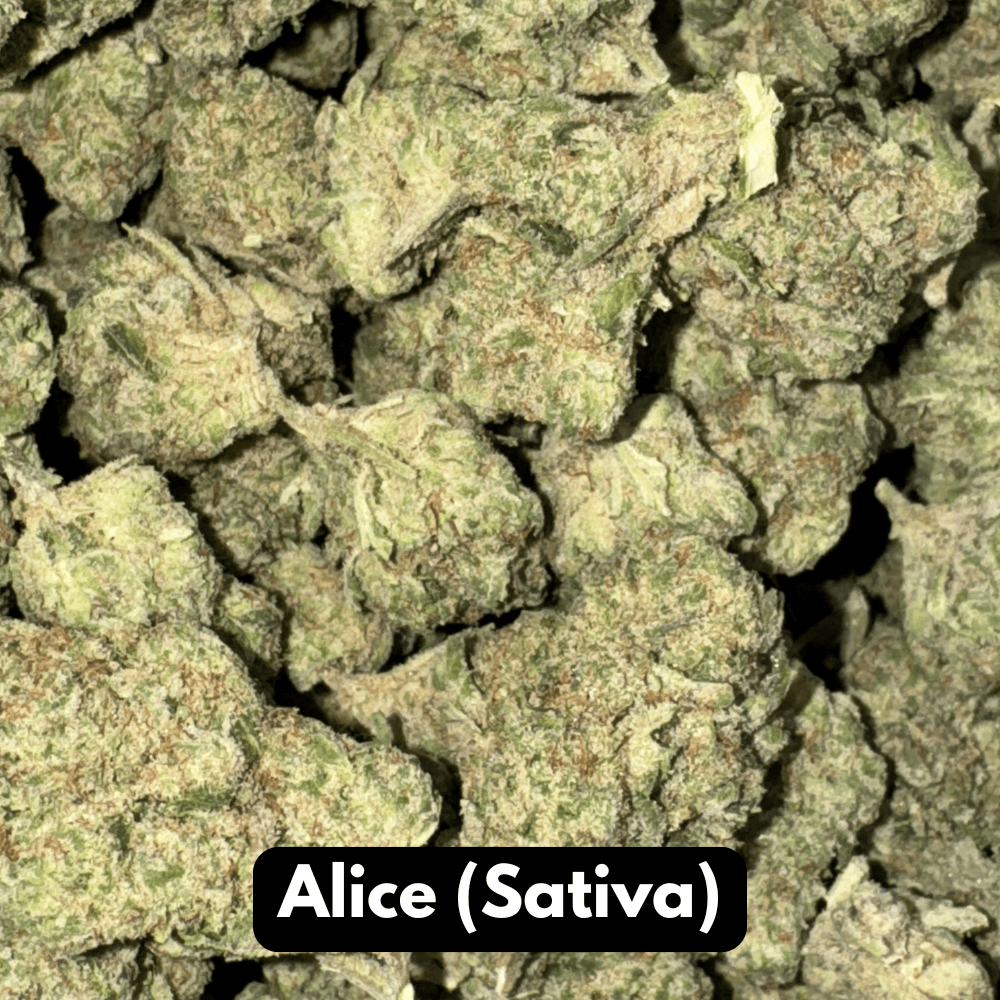 Natural THC-A Flower (Sativa - Alice)