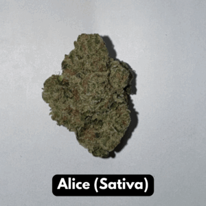 Natural THC-A Flower (Sativa - Alice)