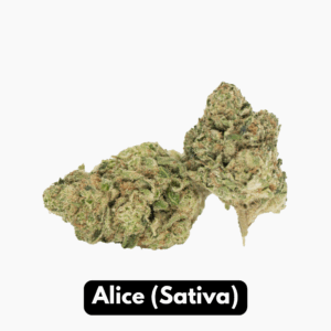 Natural THC-A Flower (Sativa ~ Alice)