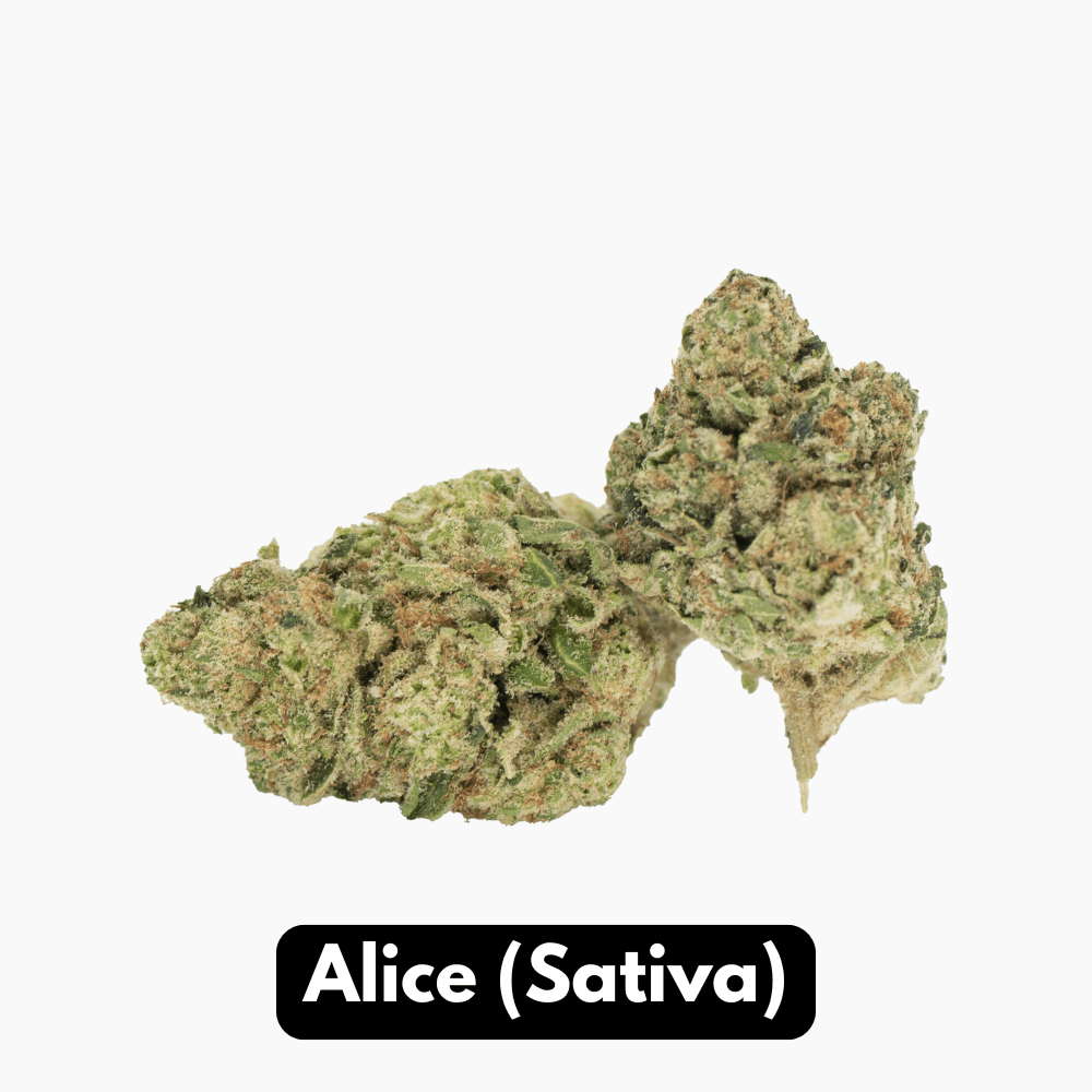 Natural THC-A Flower (Sativa ~ Alice)