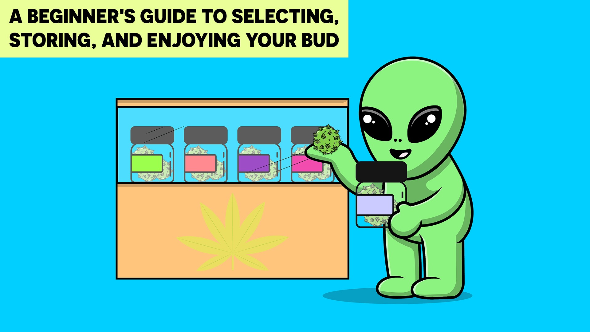 Beginners Guide To Cannabis Buds