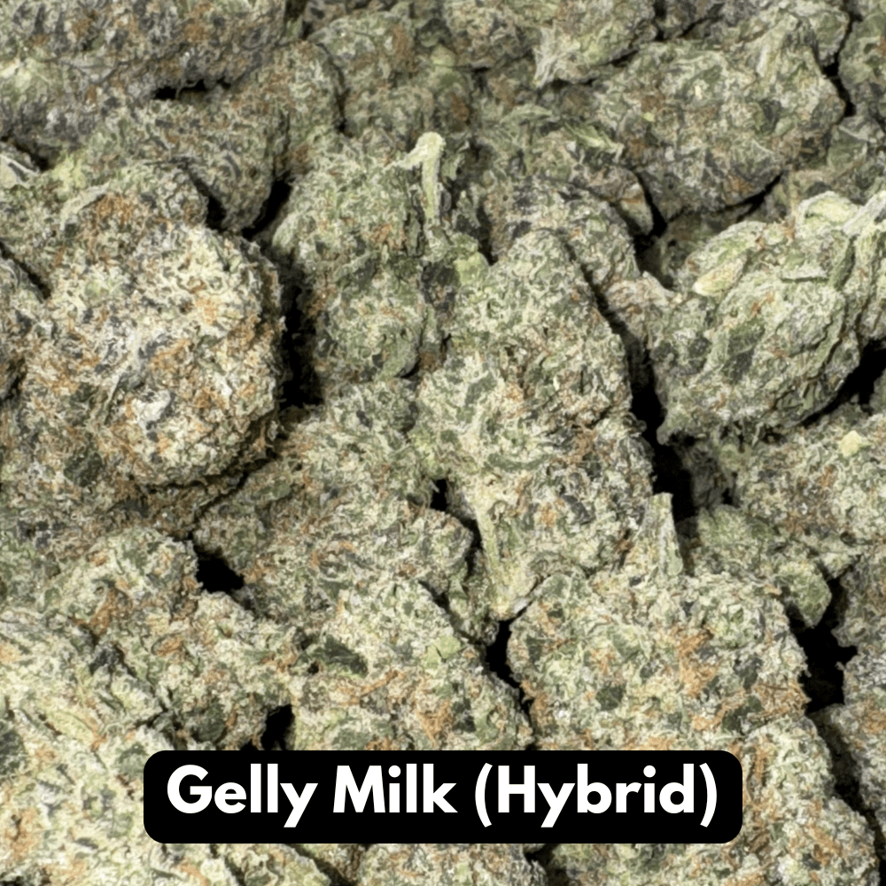 Natural THC-A Flower (Hybrid - Gelly Milk)