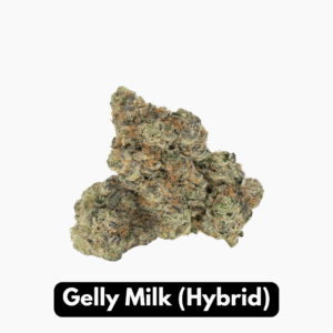 Natural THC-A Flower (Hybrid ~ Gelly Milk)