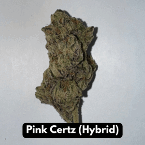 Natural THC-A Flower (Hybrid ~ Pink Certz)