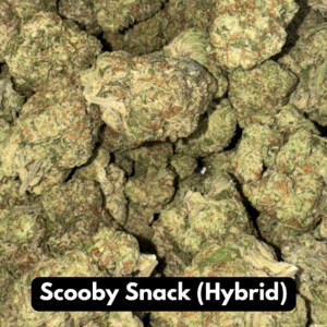 Buy Natural THC-A Flower - Hybrid Strain ~ Scooby Snack