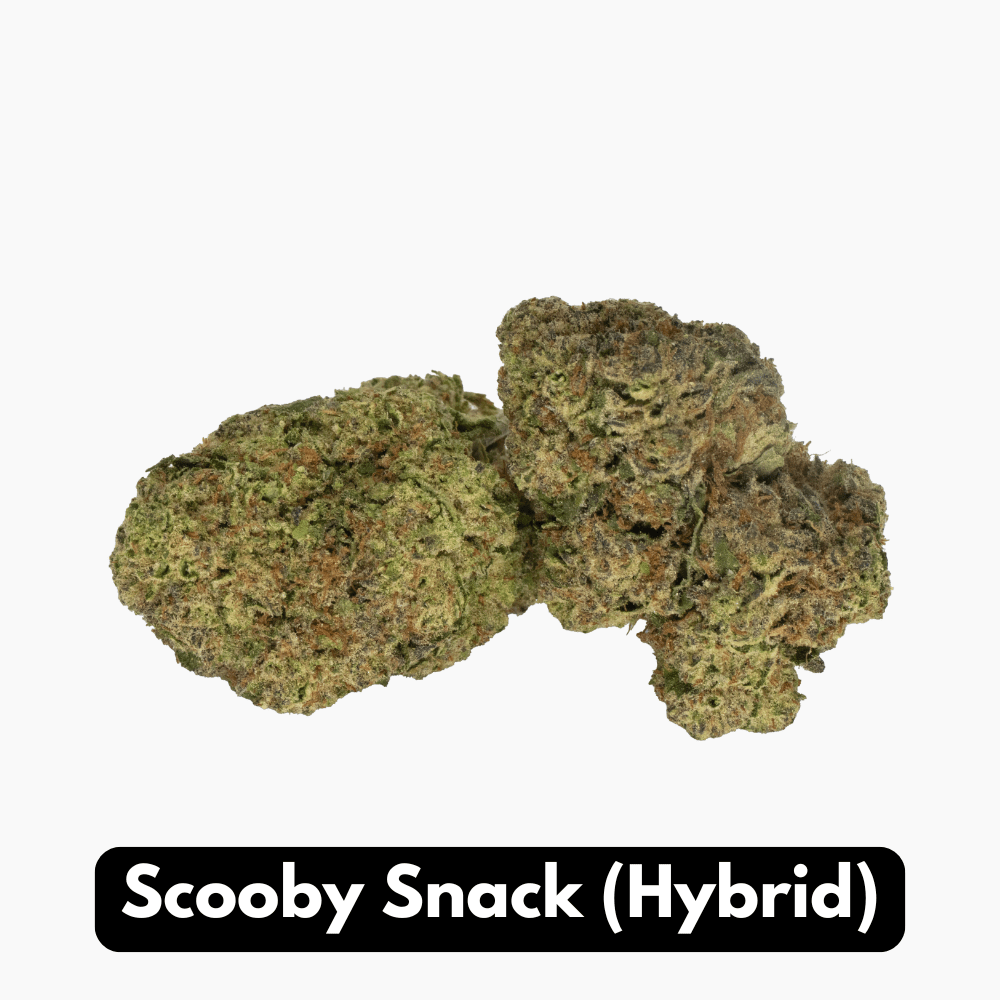 Natural THC-A Flower - Hybrid Strain ~ Scooby Snack