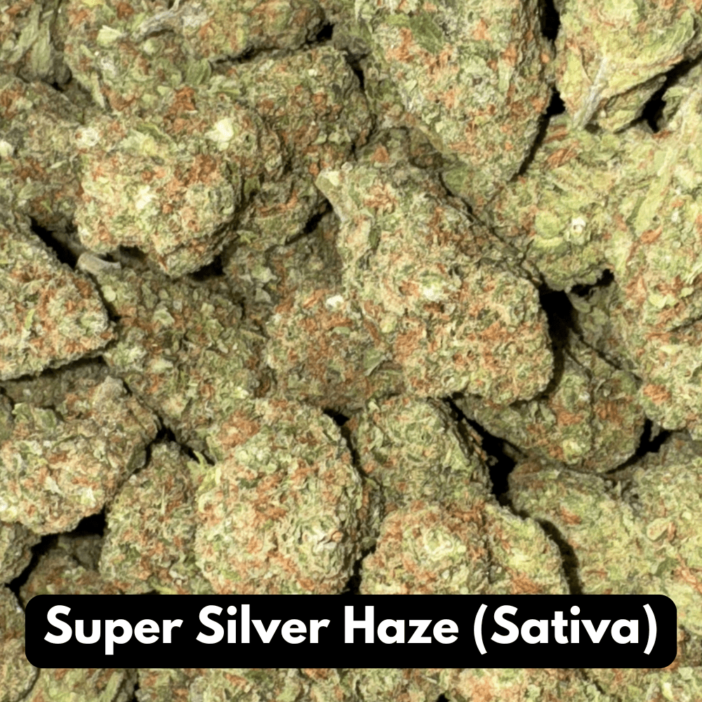 Buy Natural THC-A Flower - Sativa Strain ~ Super Silver Haze