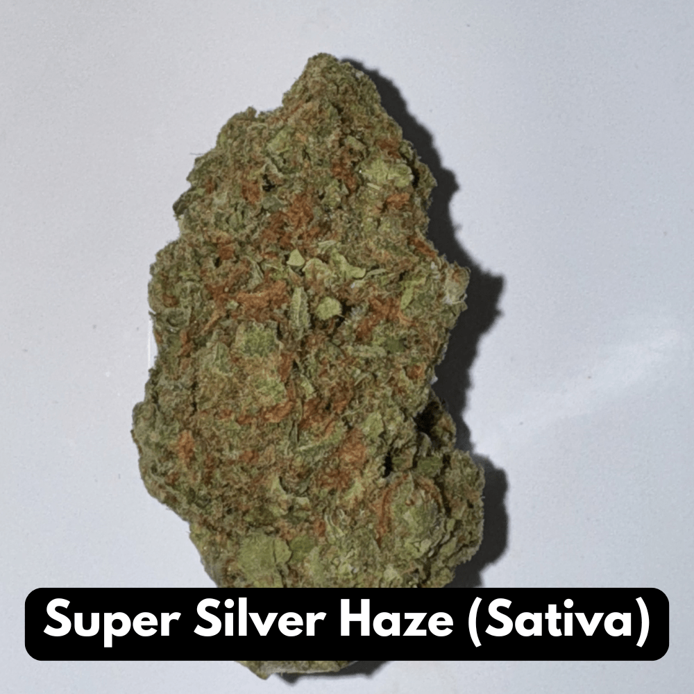 Buy Natural THC-A Flower - Sativa Strain ~ Super Silver Haze