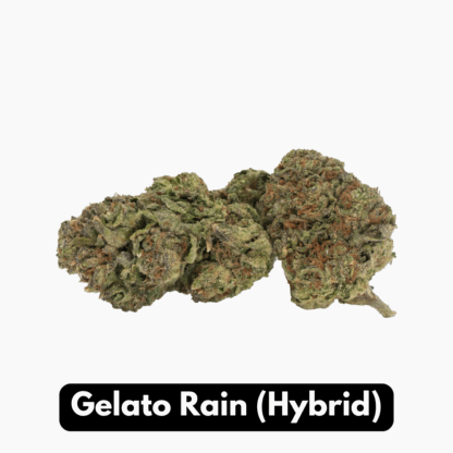 Natural THC-A Flower (Hybrid ~ Gelato Rain)