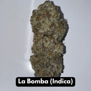 Buy Natural THC-A Flower - Indica Strain ~ La Bomba