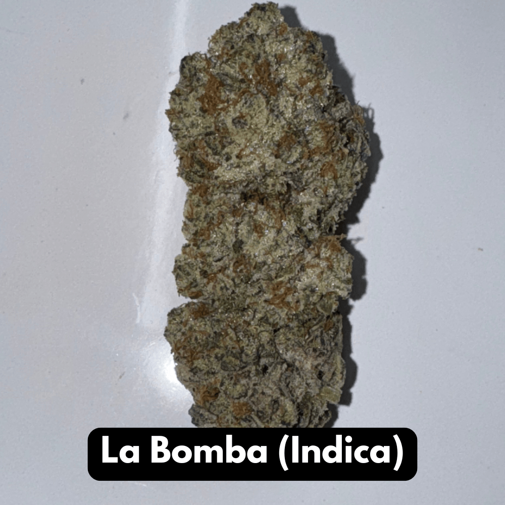 Buy Natural THC-A Flower - Indica Strain ~ La Bomba